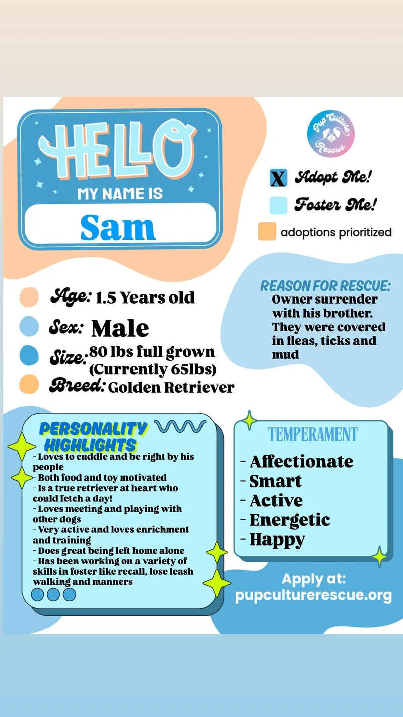 Sam thumbnail 6