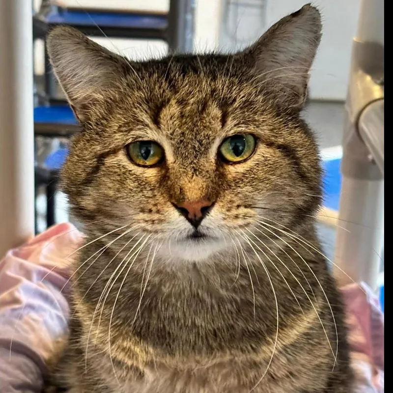 Little Tim thumbnail 3