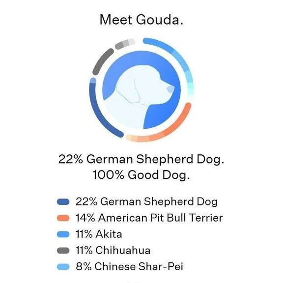 Gouda thumbnail 6