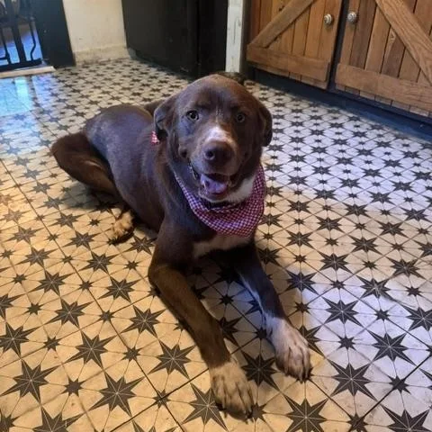 Nona