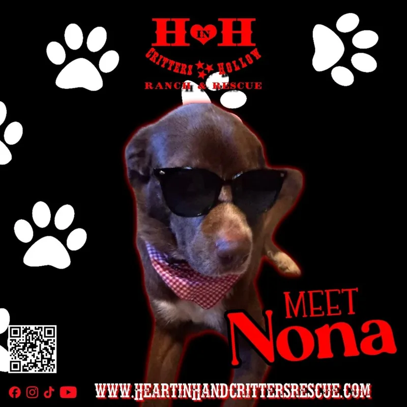 Nona thumbnail 3