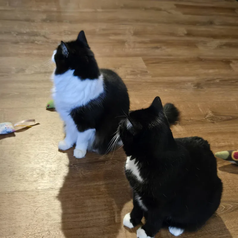 Frankie and Sami thumbnail 2