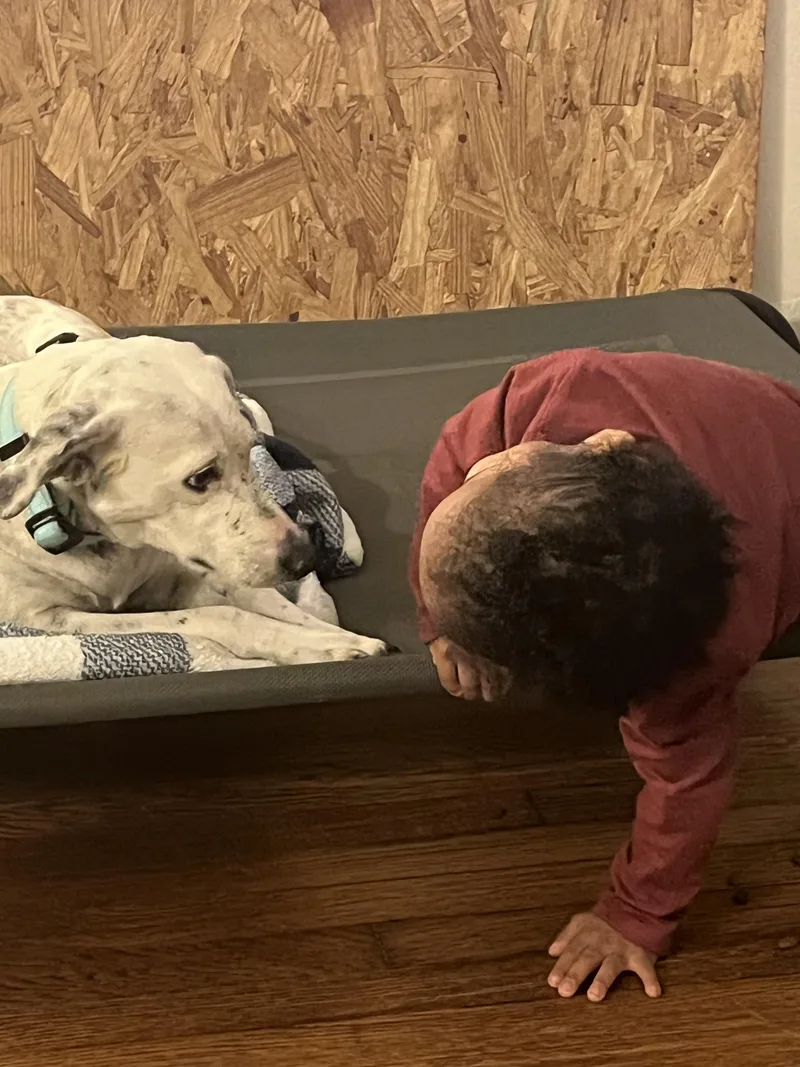 Nettie & Maxwell  thumbnail 3