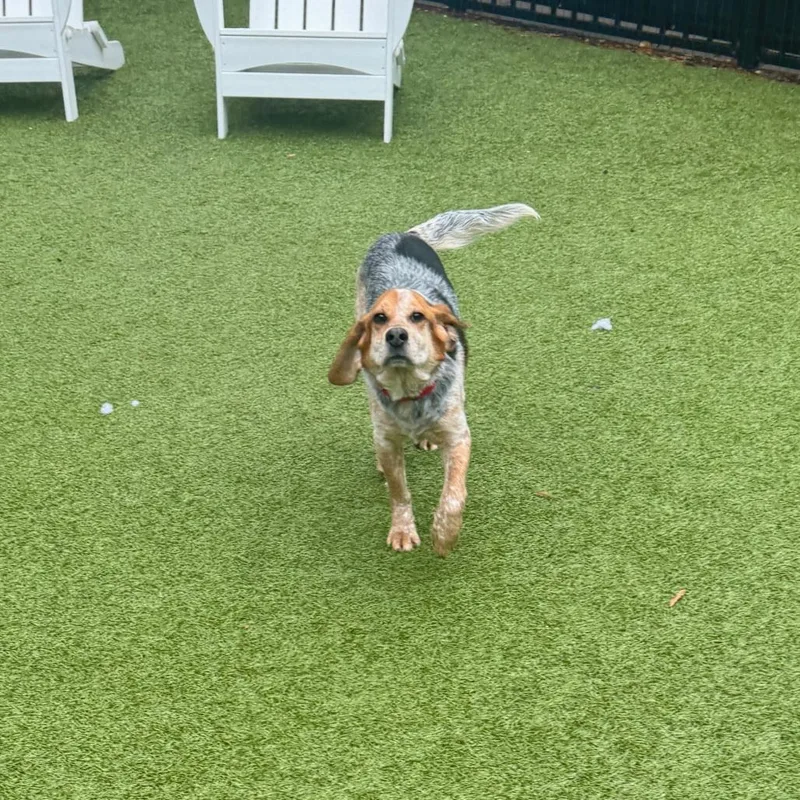 Mojo Jo Jo thumbnail 6