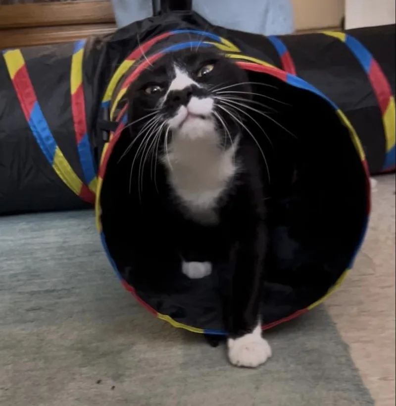 Missy thumbnail 3