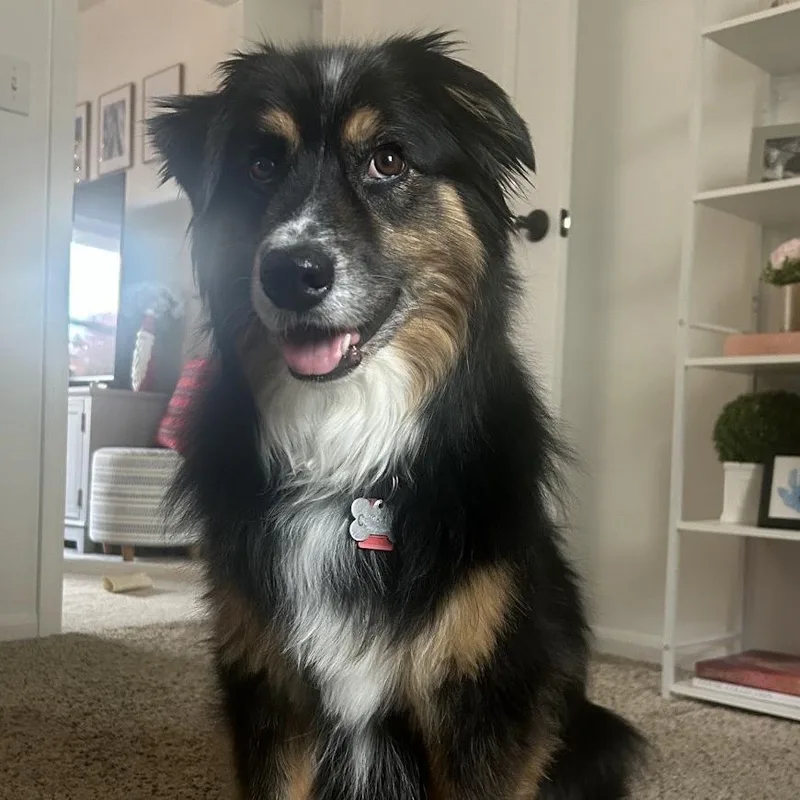 Callie Belle thumbnail 2