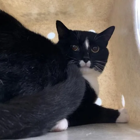 Will Feral thumbnail 2