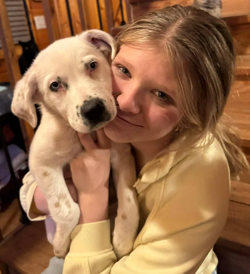 Lapis Lazuli thumbnail 5