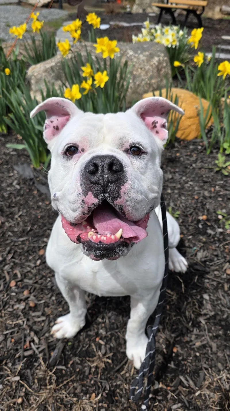 Wilbert Newark thumbnail 3