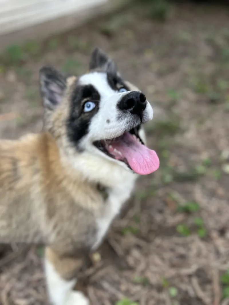Abby thumbnail 3