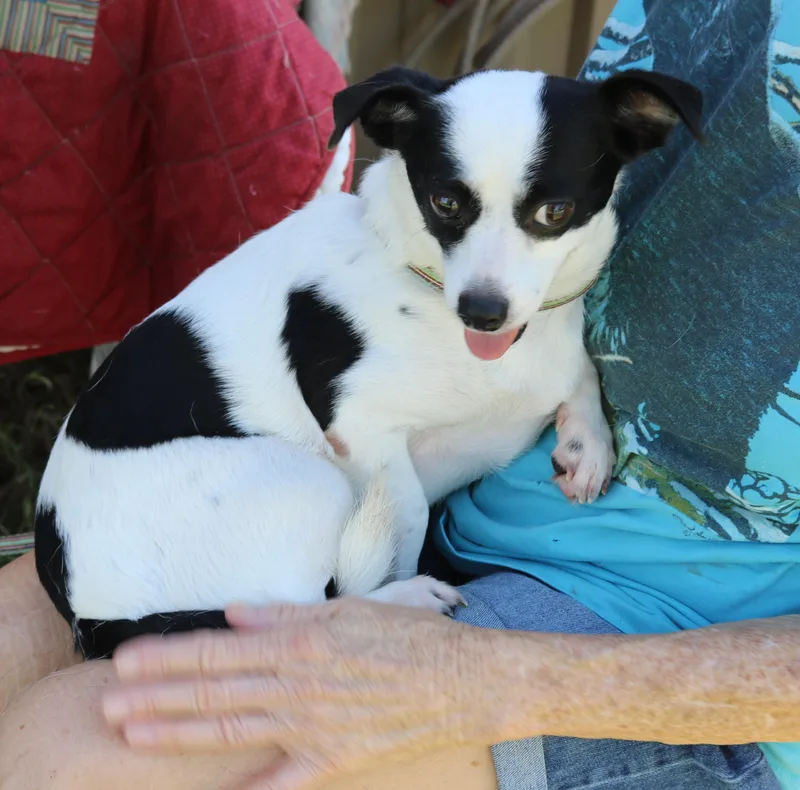 Blanca thumbnail 2