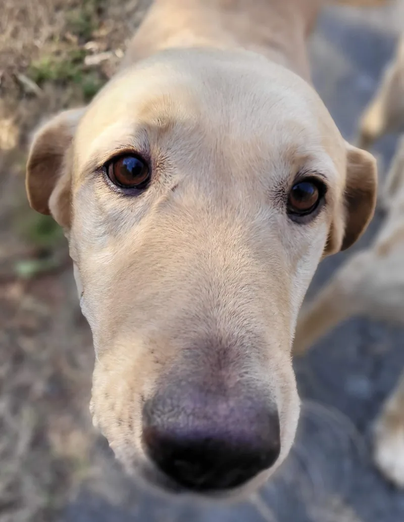 Little G thumbnail 3