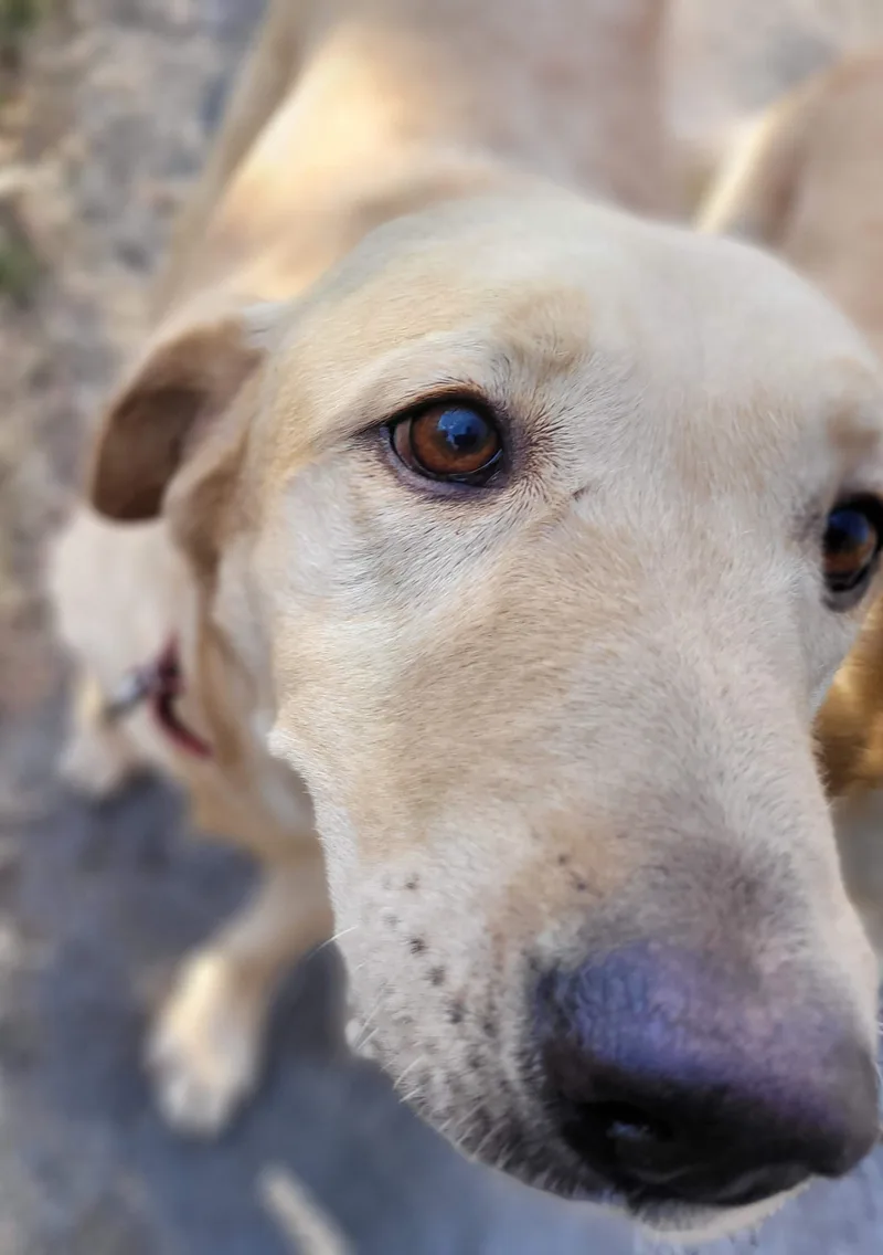 Little G thumbnail 4