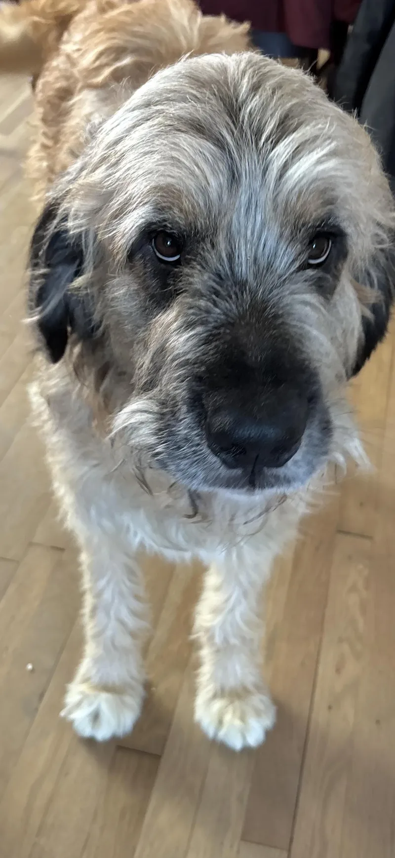 Zeus