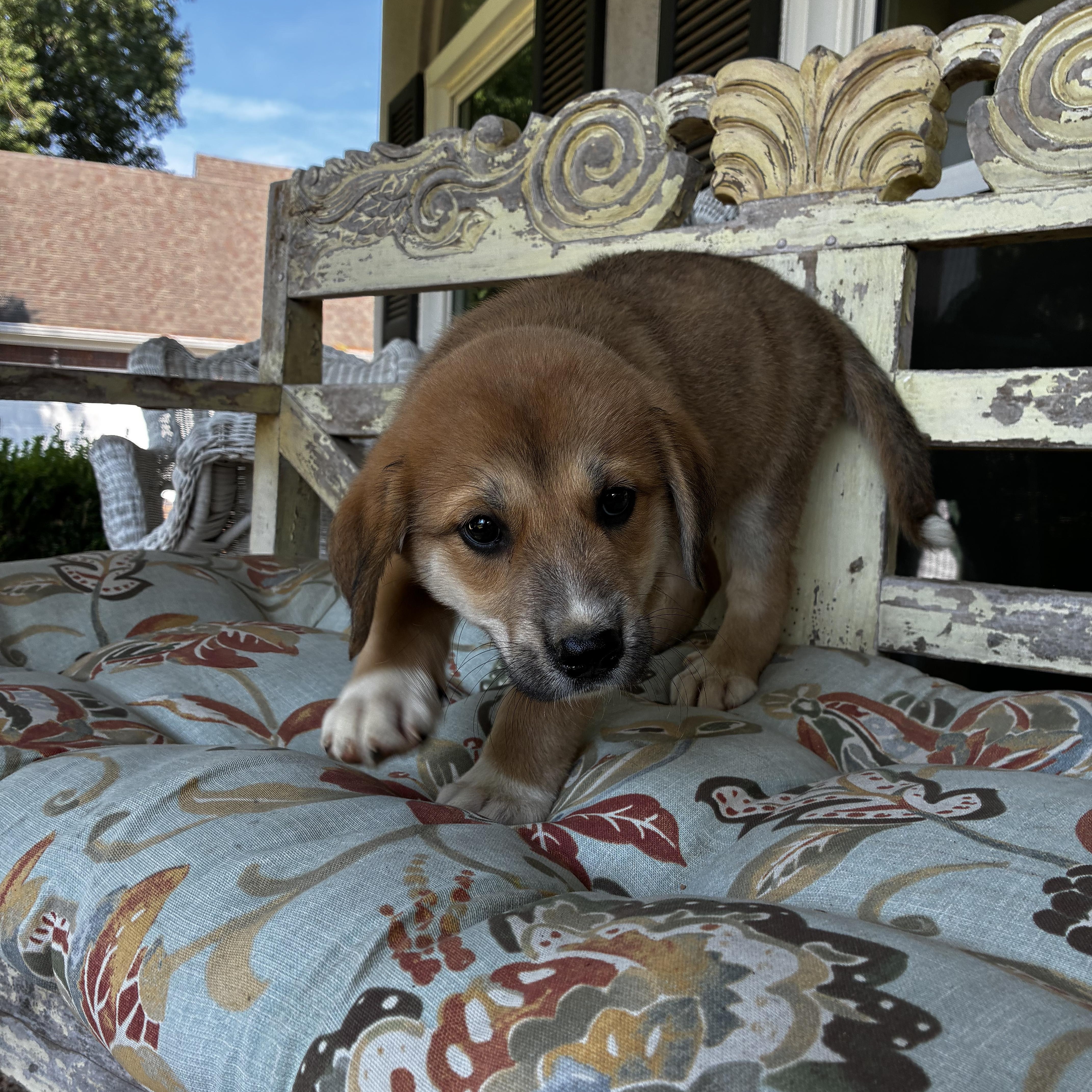 Sam
