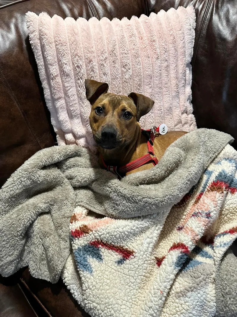 Repeat "pete" thumbnail 2