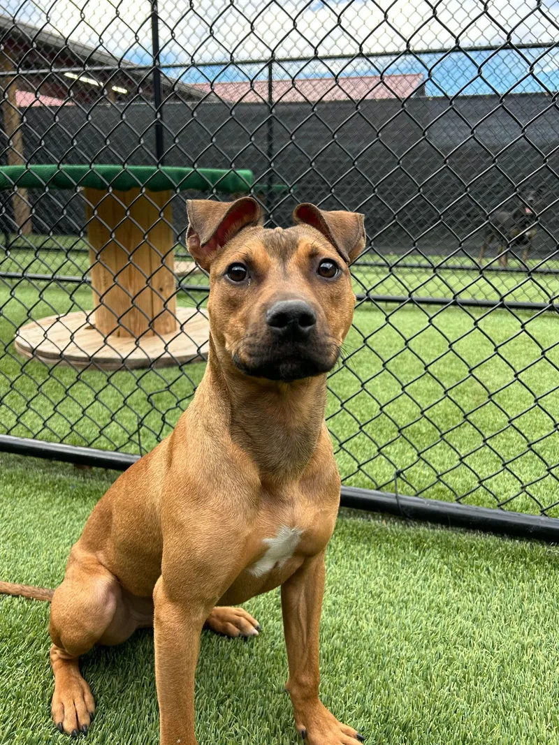 Repeat "pete" thumbnail 4