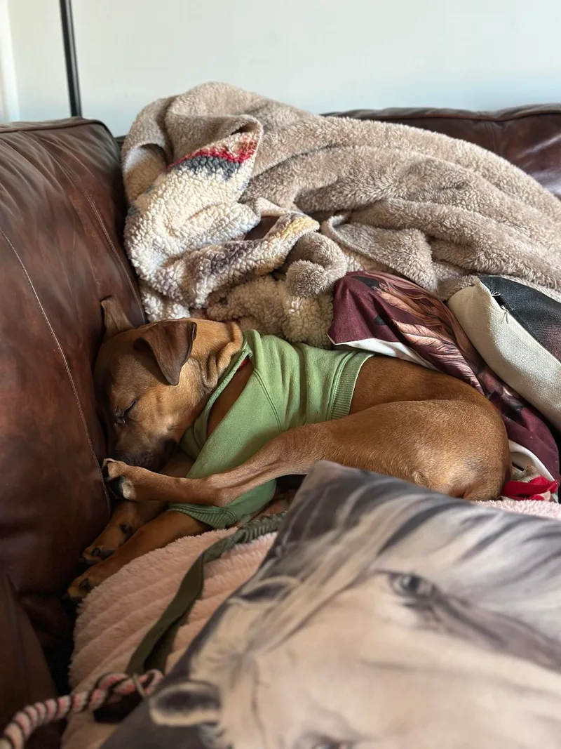 Repeat "pete" thumbnail 5