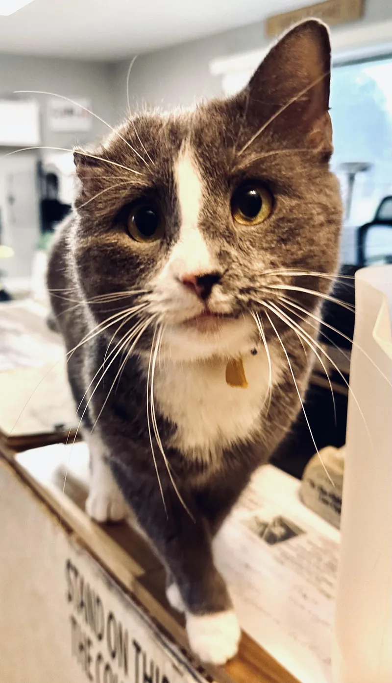 Twilight thumbnail 2