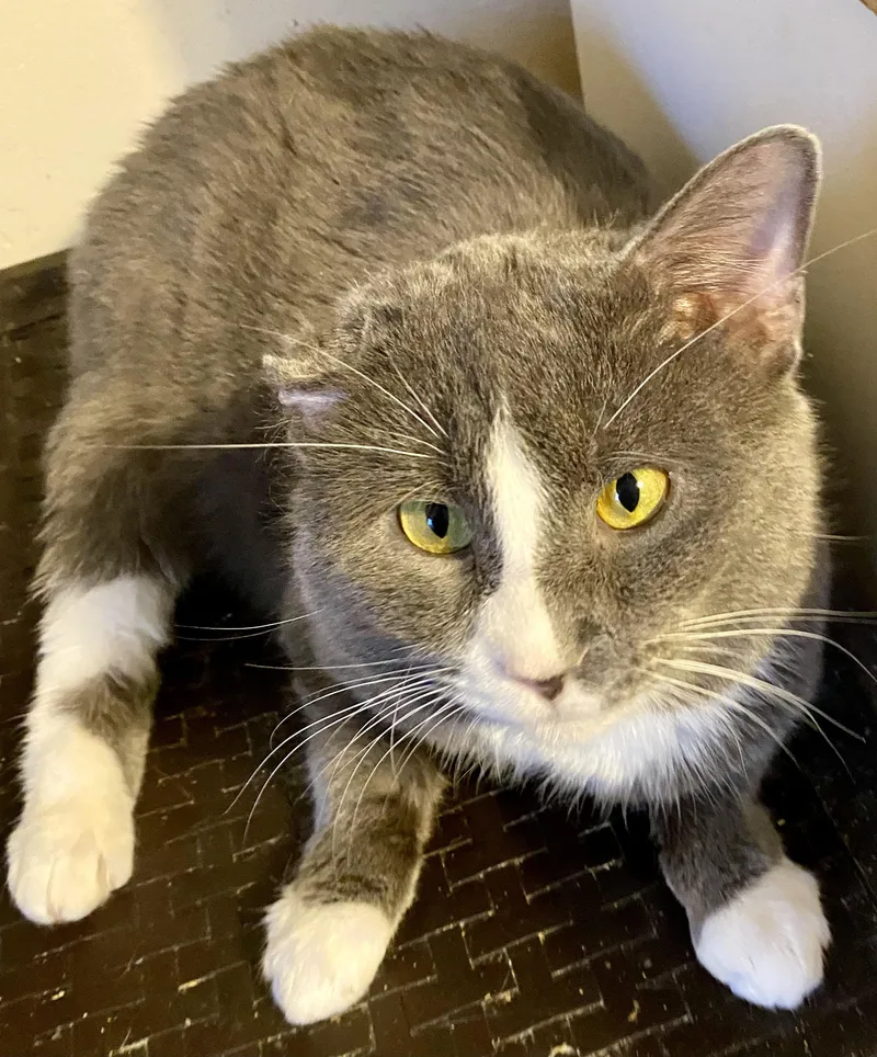 Twilight thumbnail 3