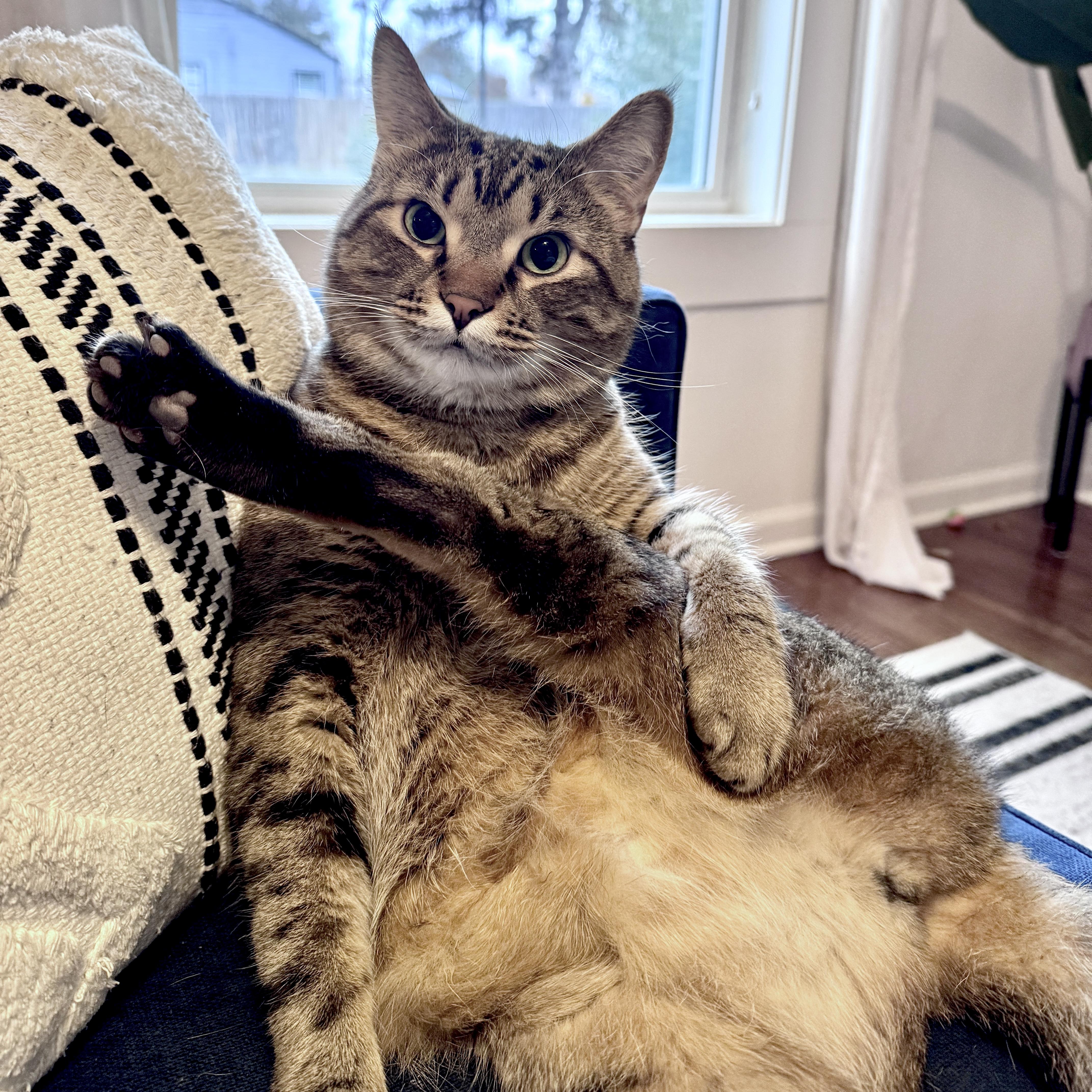 Franklin thumbnail 6