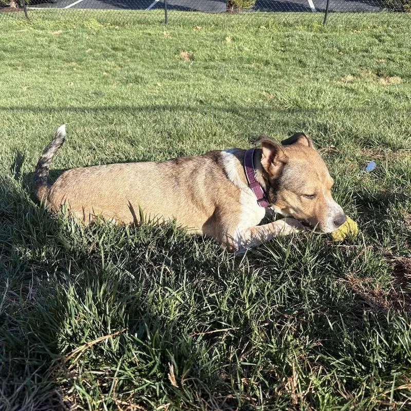 Bella  Where Have thumbnail 4