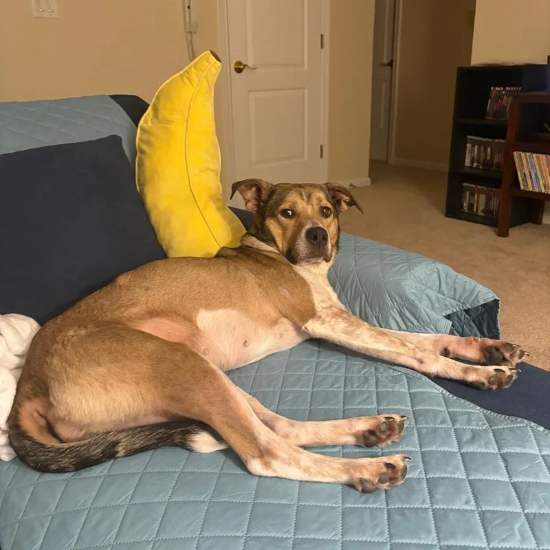 Bella  Where Have thumbnail 5