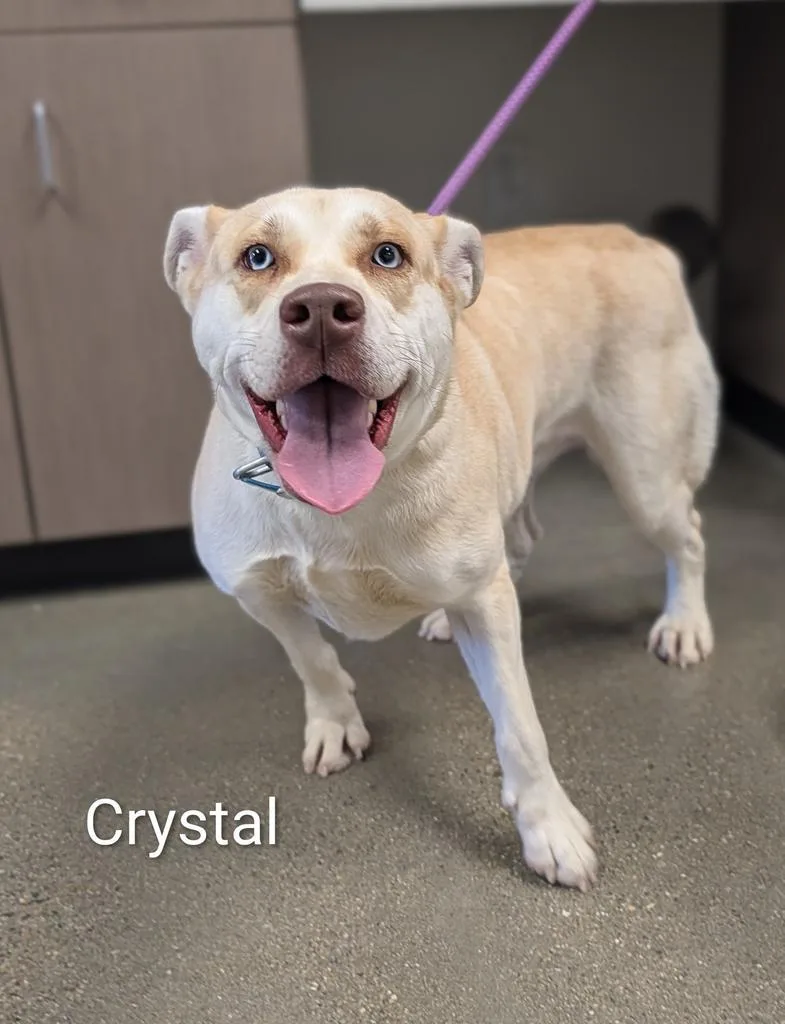 Crystal thumbnail 4