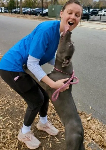 King George thumbnail 3