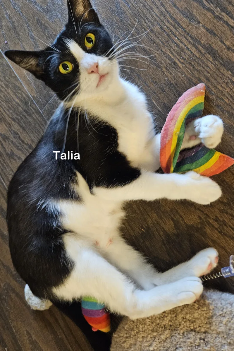 Talia thumbnail 2
