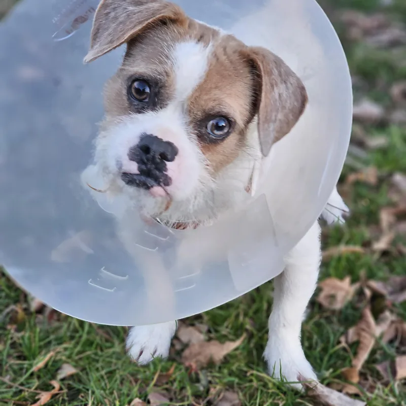 Tia So Il thumbnail 2