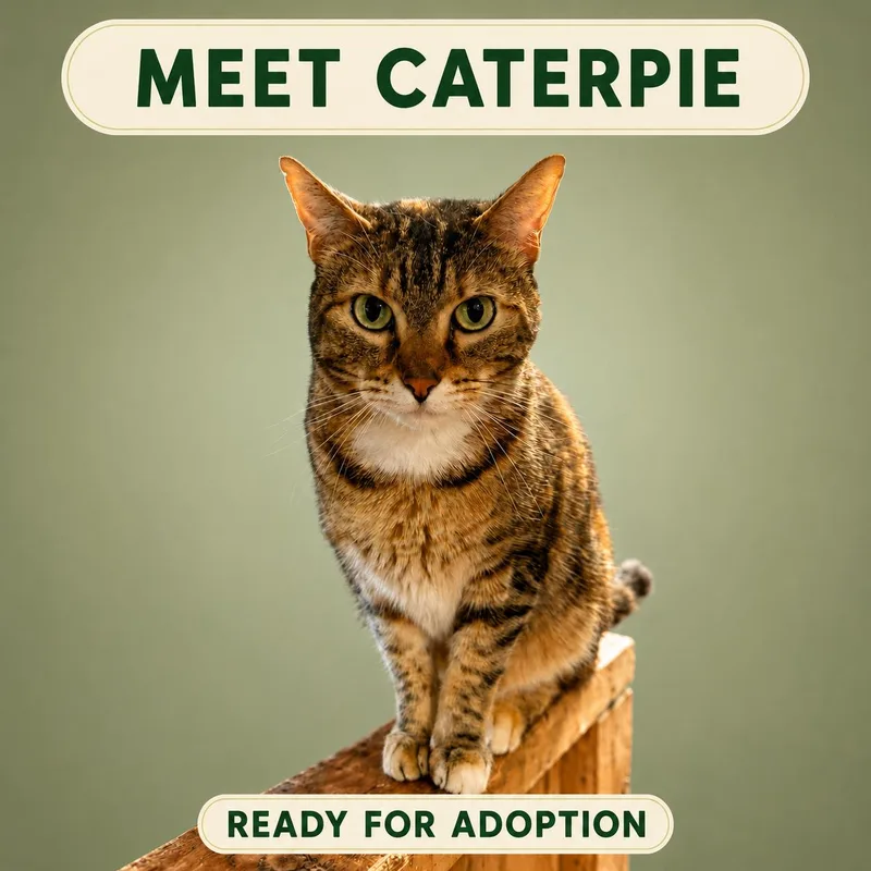 Caterpie thumbnail 2
