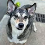Brynlee thumbnail 6