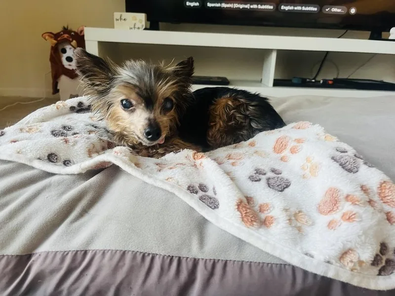 Pw _lola thumbnail 2