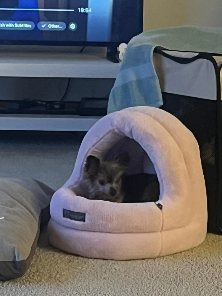 Pw _lola thumbnail 3