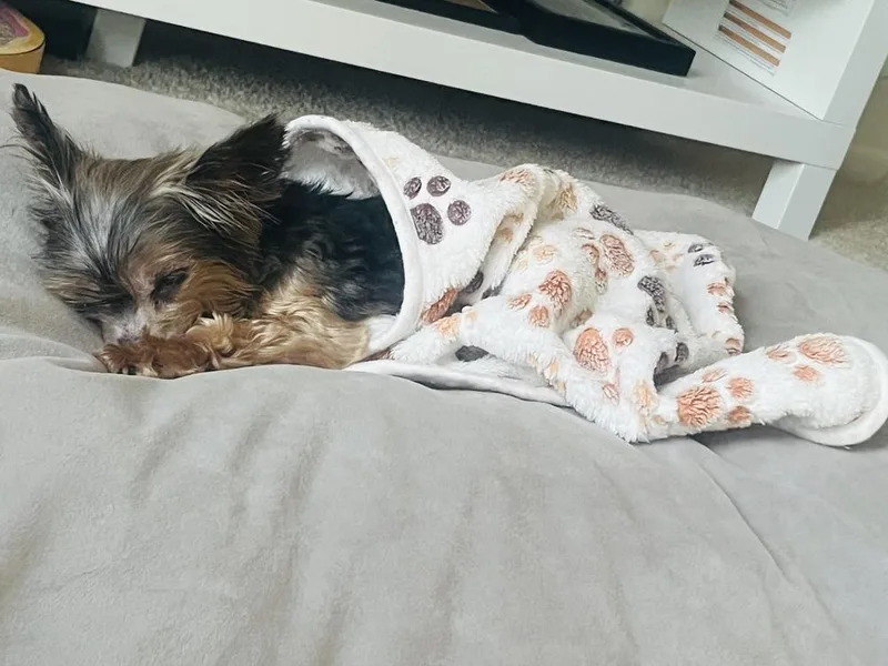 Pw _lola thumbnail 4