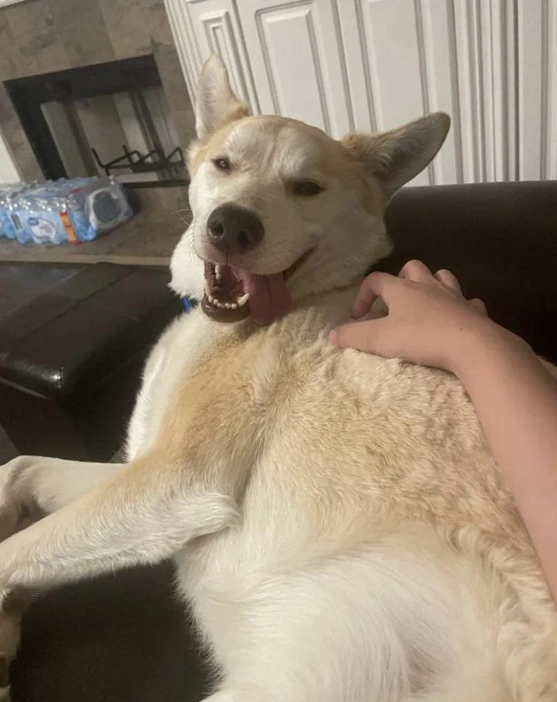 Sebastian thumbnail 2