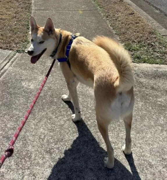 Sebastian thumbnail 3