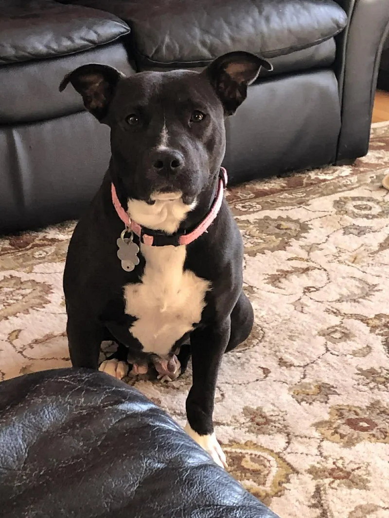 Marymerry thumbnail 2