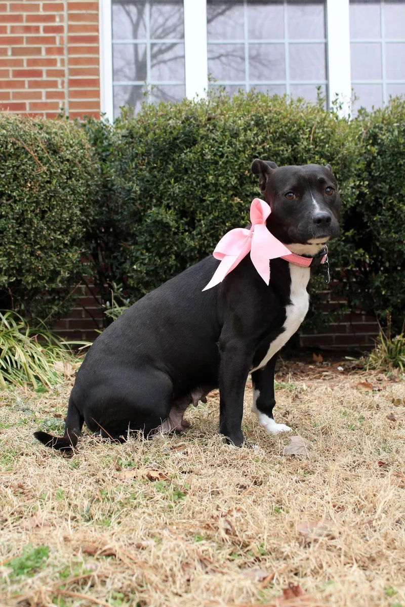 Marymerry thumbnail 3