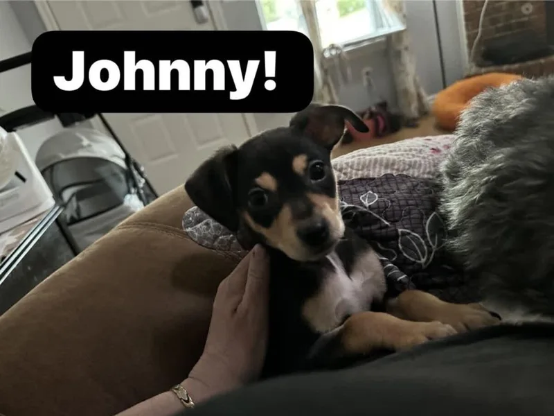 Johnny thumbnail 3