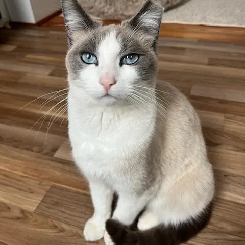 Florence thumbnail 2