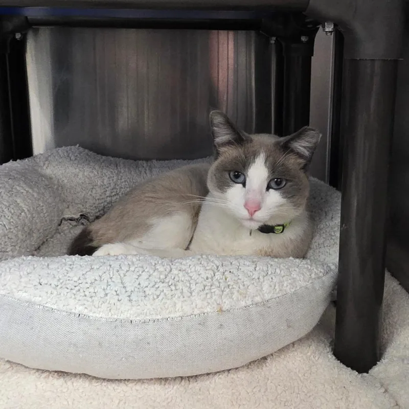 Florence thumbnail 3