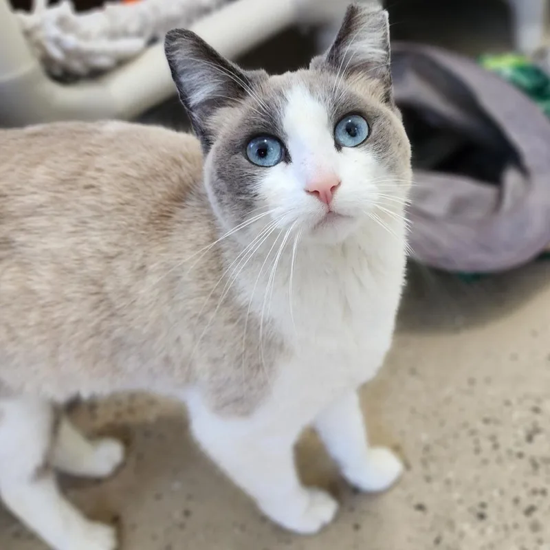 Florence thumbnail 5