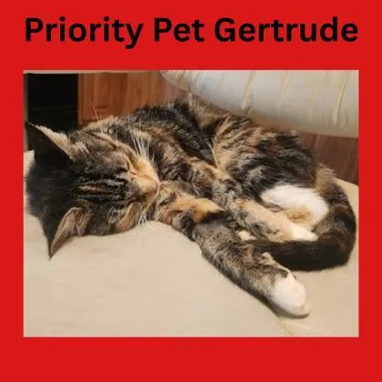 Gertrude  `a Priority thumbnail 2