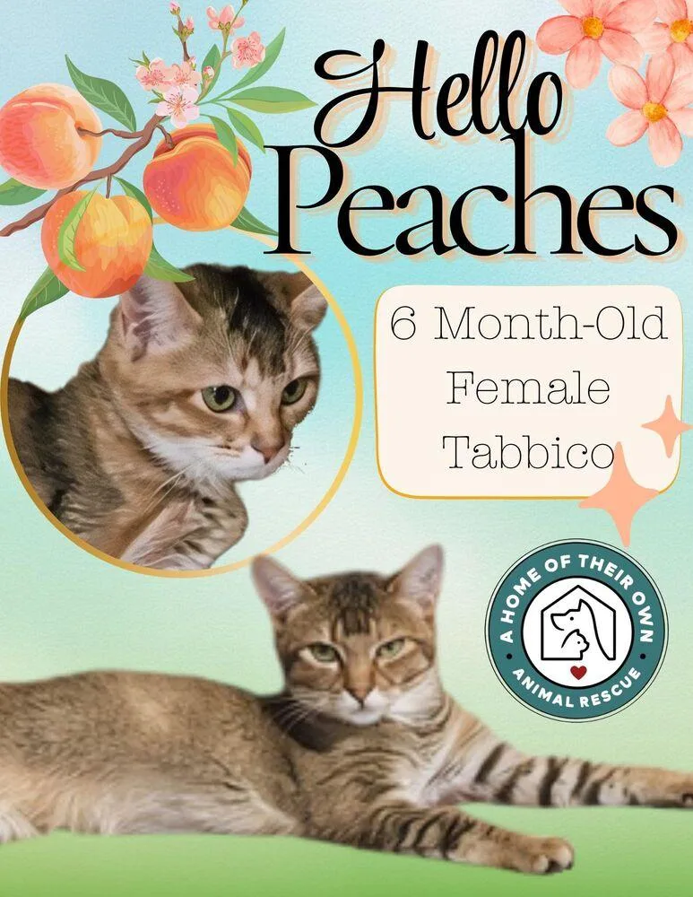 Peaches