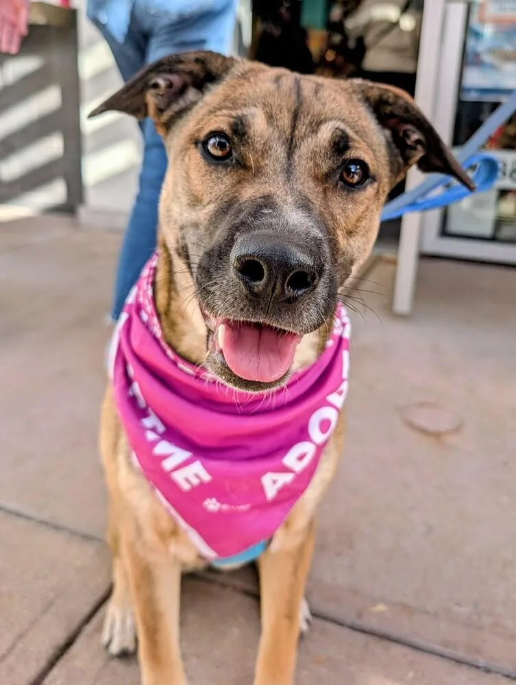 Willow From The East thumbnail 6