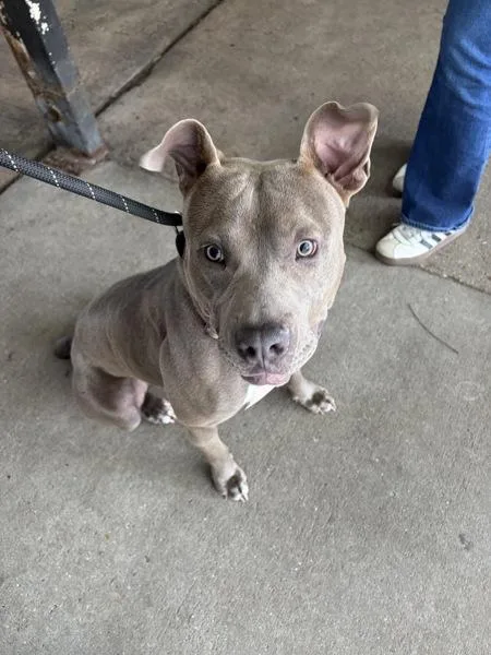 Pablo