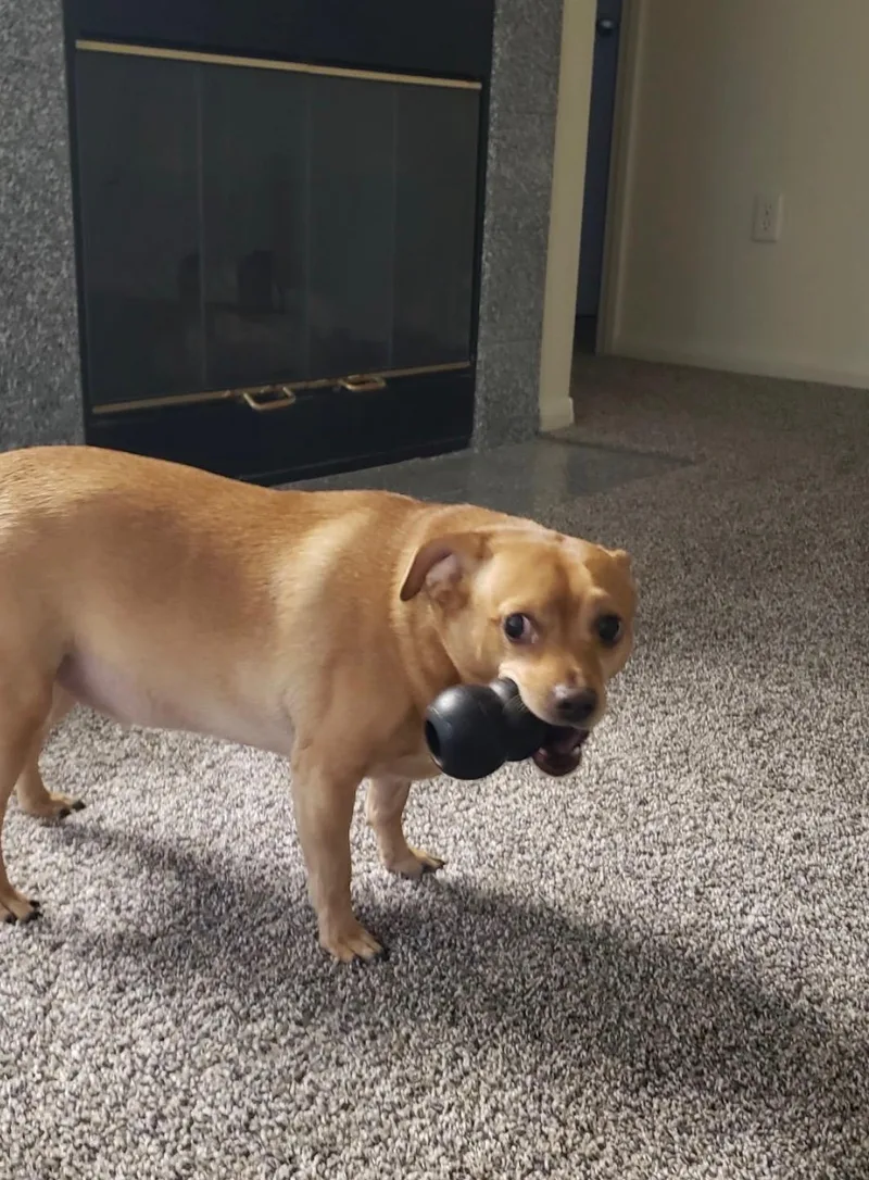 Luke thumbnail 2