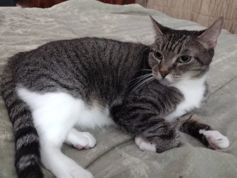 Mattie May thumbnail 3